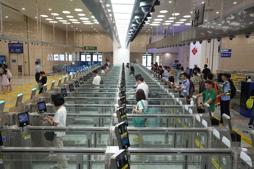 中國科技網(wǎng) 引領(lǐng)網(wǎng)絡(luò)技術(shù)服務(wù)創(chuàng)新，賦能數(shù)字中國建設(shè)